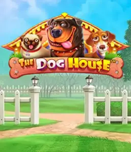 Pragmatic Play's The Dog House Slot, offering a fun-filled experience among lovable dogs. Discover gameplay elements including sticky wilds, perfect for delivering entertaining gameplay. Perfect for pet lovers a cheerful theme and the opportunity to win big.