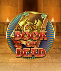 Dive into the thrilling world of Book of Dead by Play'n GO, featuring vivid graphics of Rich Wilde’s adventurous journey through ancient Egyptian tombs and artifacts. Find lost riches with exciting mechanics like free spins, expanding symbols, and a gamble option. Ideal for adventure seekers with a desire for thrilling discoveries.